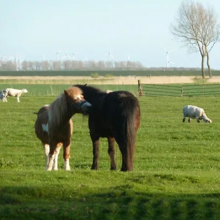 Liethshof